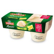 Pěnový dezert s citronem Andros (2x80 g) - 65,90 Kč