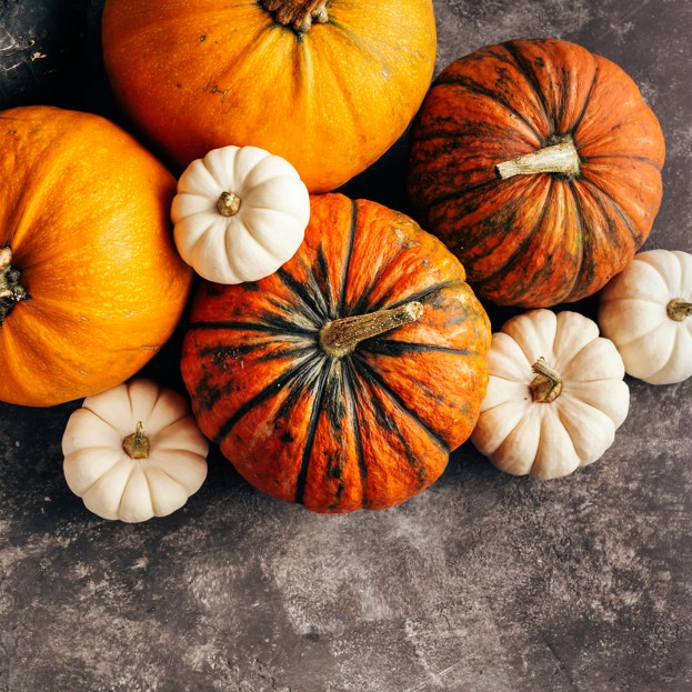 Halloween v DELMART