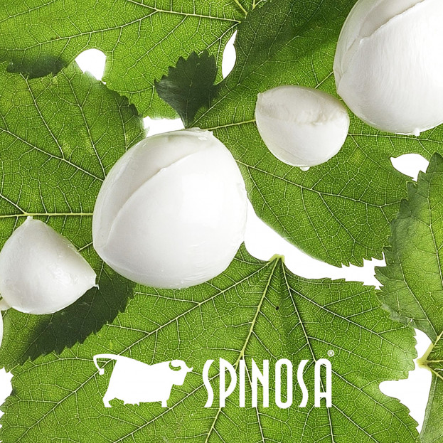 MOZZARELLA SPINOSA