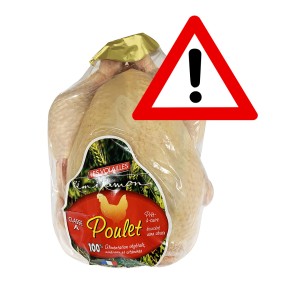  STAŽENÍ Z&nbsp;PRODEJE KUŘE KUKUŘIČNÉ RAMON CCA 1,54 KG 